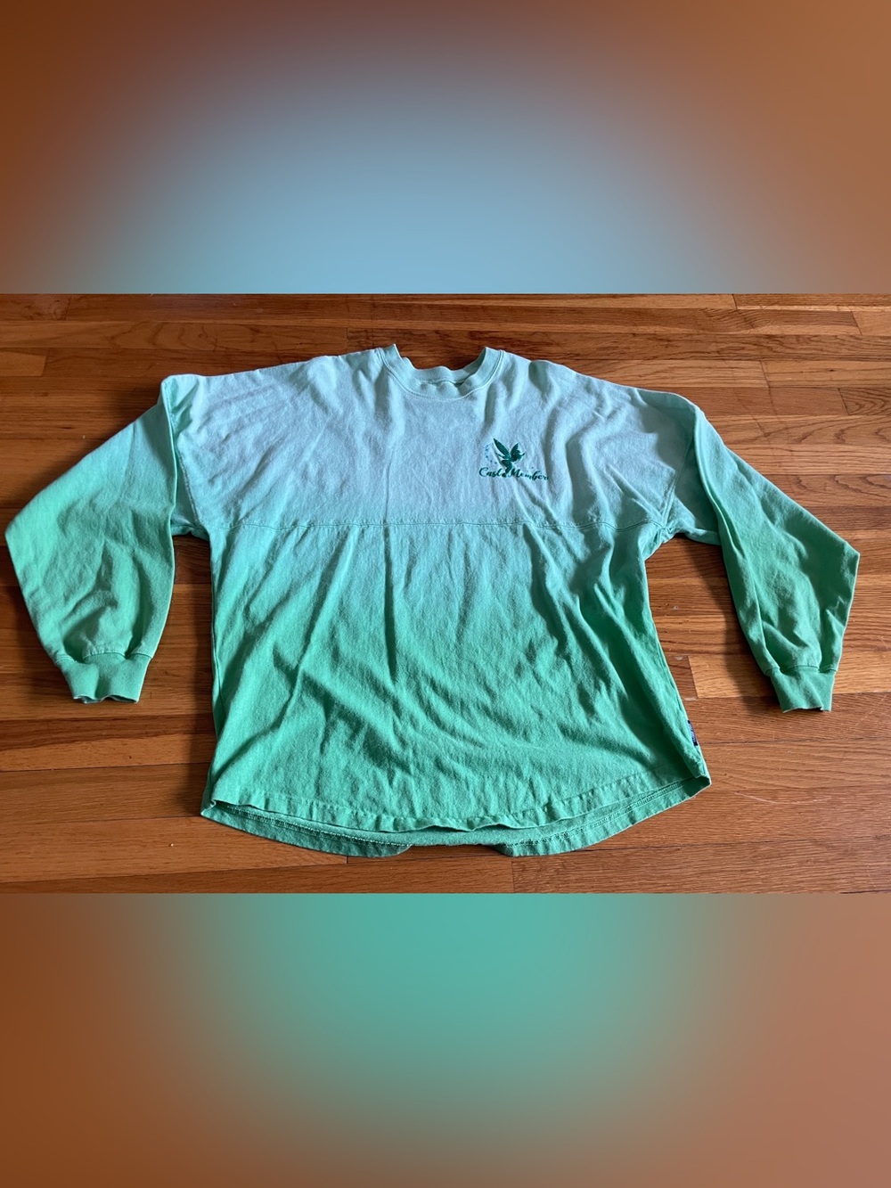 DISNEY PARKS TINKERBELL CAST MEMBERS SPIRIT JERSEY SIZE
M LIKE NEW RARE